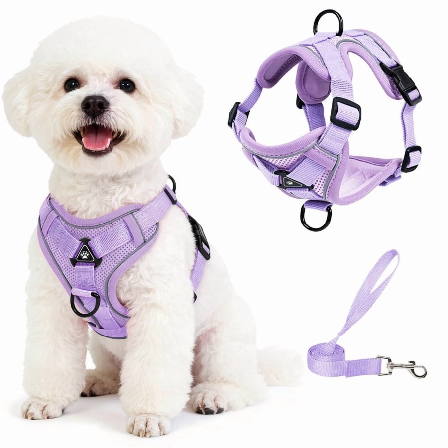 No Pull Dog Harness - Pet Harness and Leash Set, Adjustable