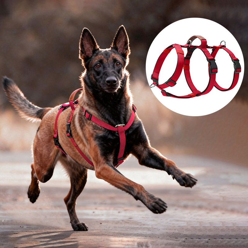 Escape-Proof Nylon Dog Harness - No Pull Dog Harness avaliação e preço