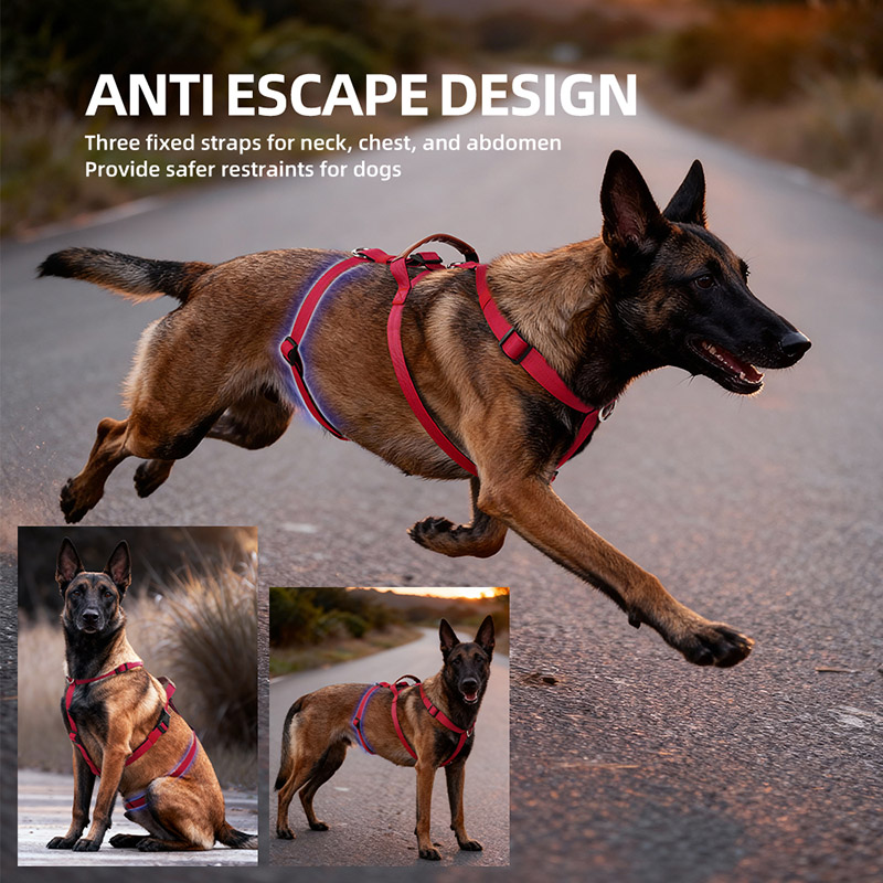 Escape-Proof Nylon Dog Harness - No Pull Dog Harness avaliação e preço