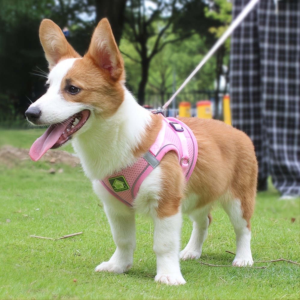 Reflective Pet Harness And Lea - No Pull Dog Harness avaliação e preço
