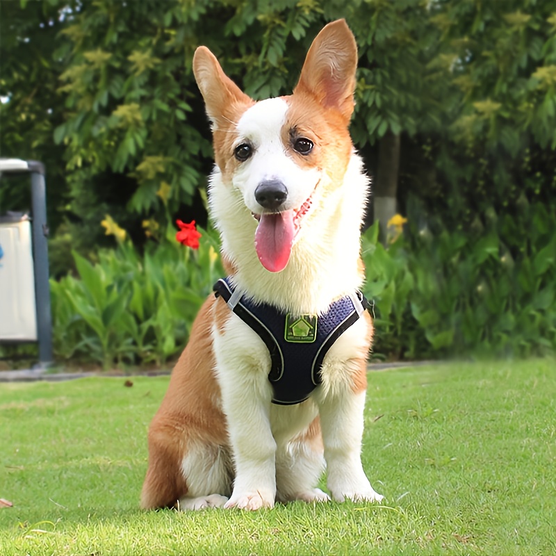 Reflective Pet Harness And Lea - No Pull Dog Harness avaliação e preço