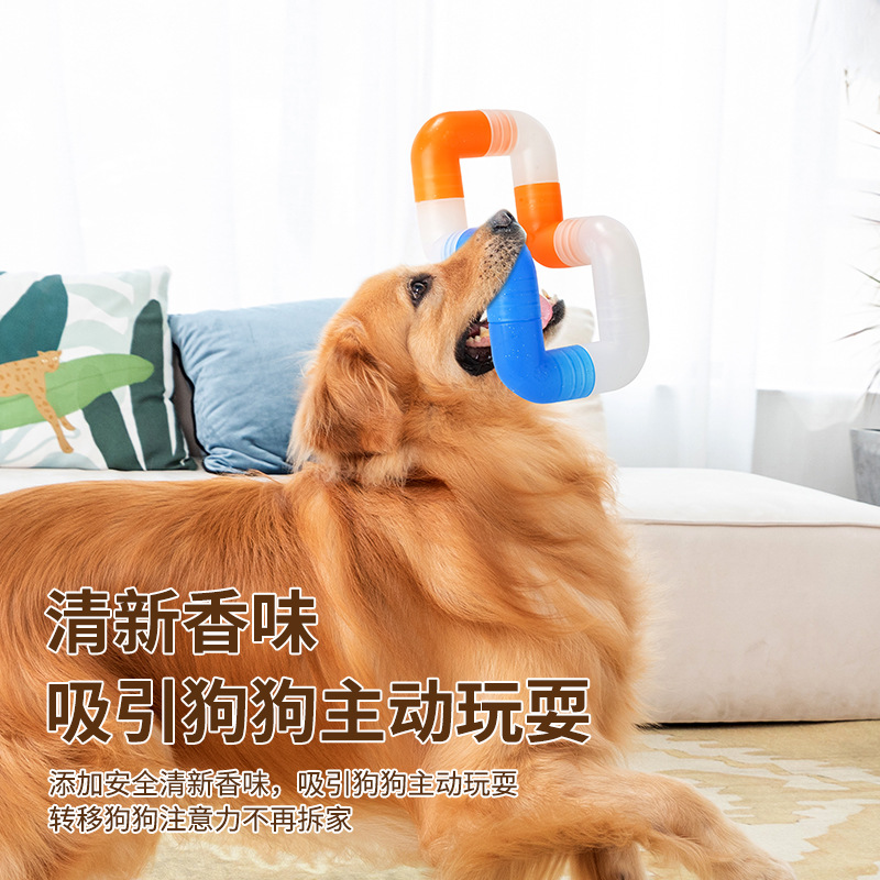 Dog molar toy pet cat dog toy  - Pet Supplies Is Food avaliação e preço