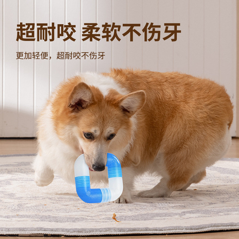 Dog molar toy pet cat dog toy  - Pet Supplies Is Food avaliação e preço