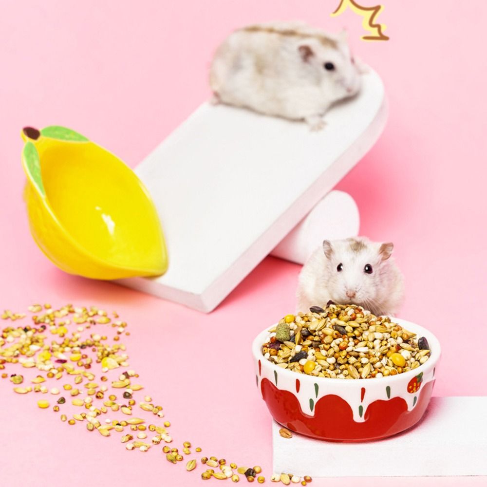 Hedgehog Ferret Gerbil Chinchi - Pet Supplies Is Food avaliação e preço