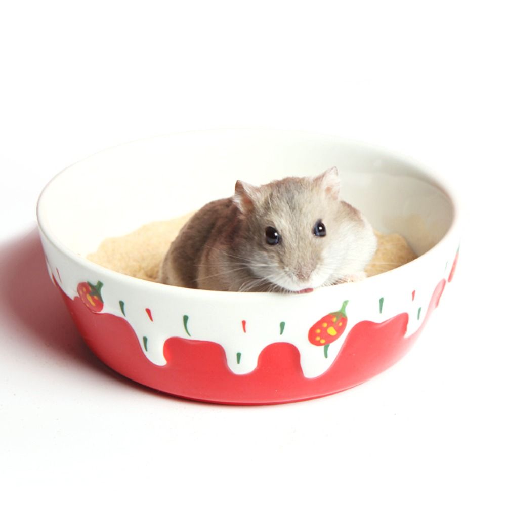 Hedgehog Ferret Gerbil Chinchi - Pet Supplies Is Food avaliação e preço