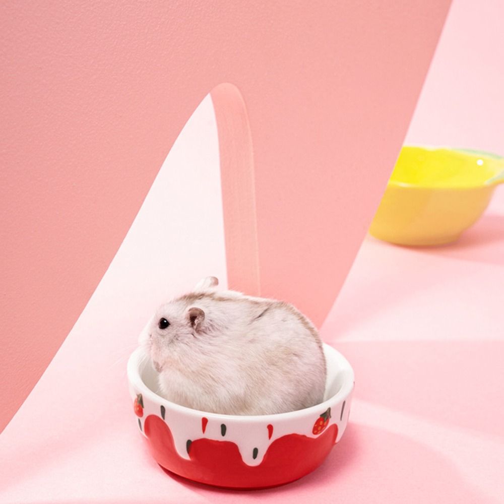 Hedgehog Ferret Gerbil Chinchi - Pet Supplies Is Food avaliação e preço