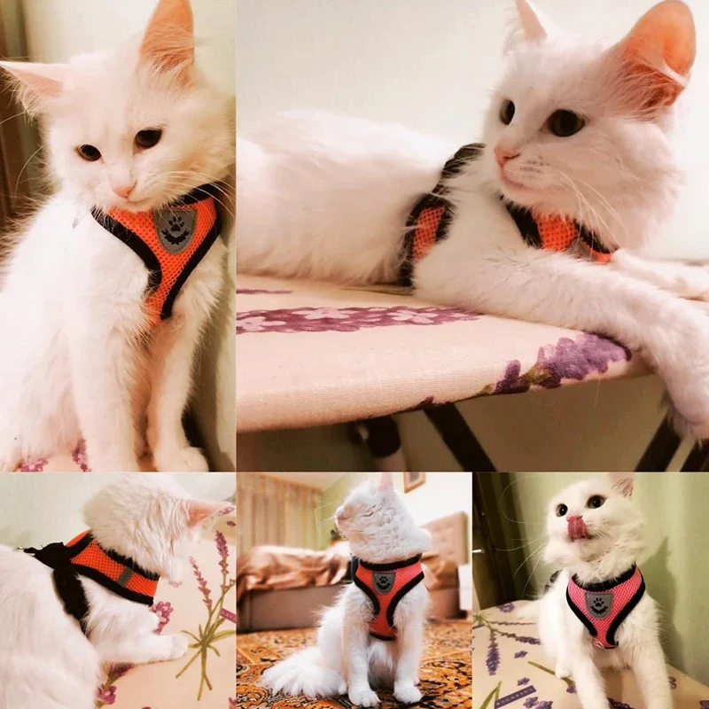 PetHarnessLeash Set -Dog Cat O - No Pull Dog Harness avaliação e preço
