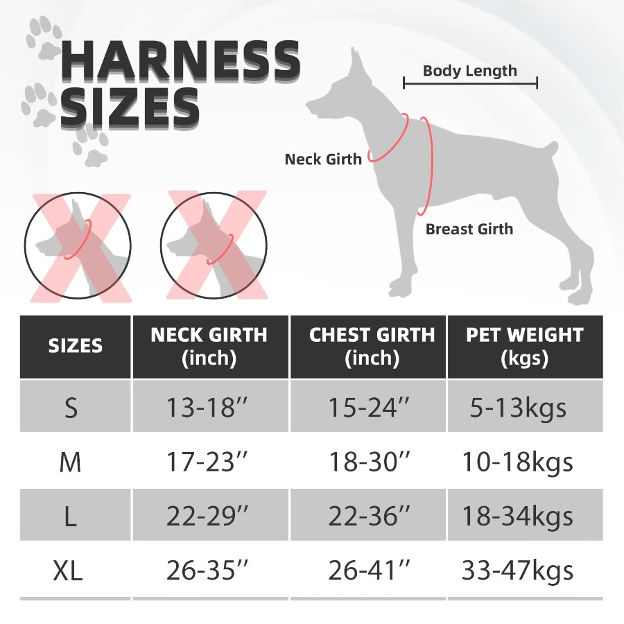 No Pull Dog Harness with A Fre - No Pull Dog Harness avaliação e preço