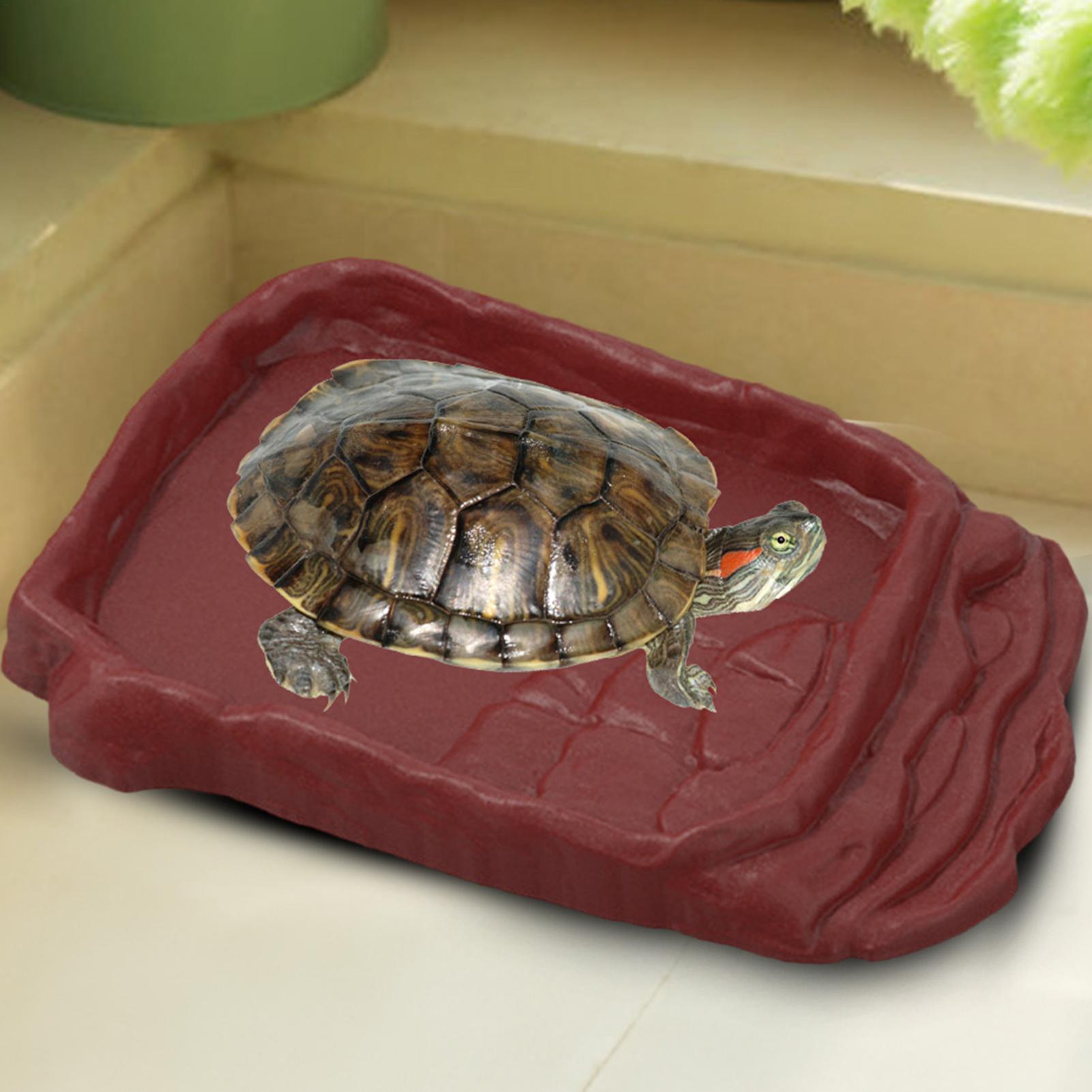 Turtle Water Dish With Anti-Sl - Pet Supplies Is Food avaliação e preço