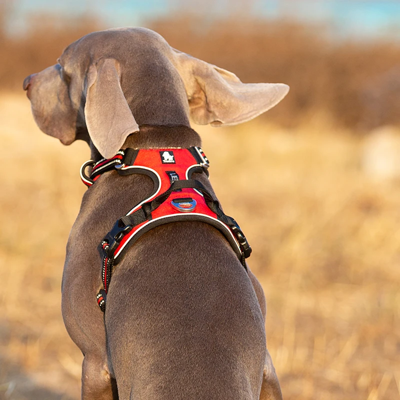 Truelove Pet Reflective Nylon  - No Pull Dog Harness avaliação e preço