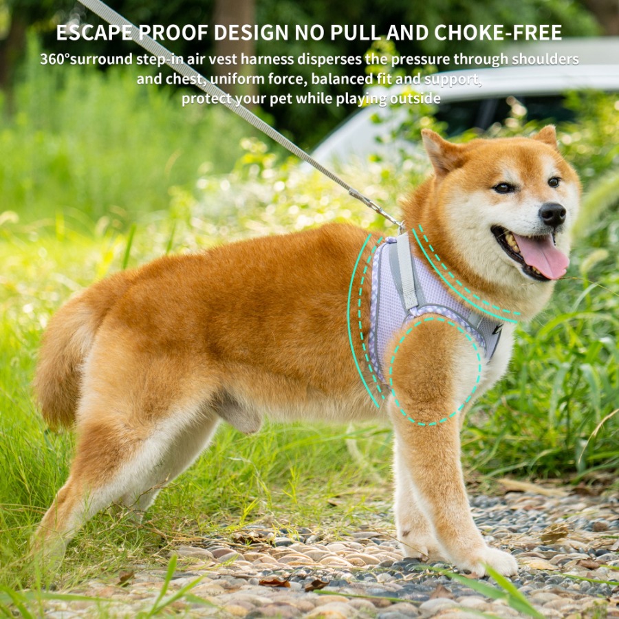 Adjustable Reflective Extra Sm - No Pull Dog Harness avaliação e preço