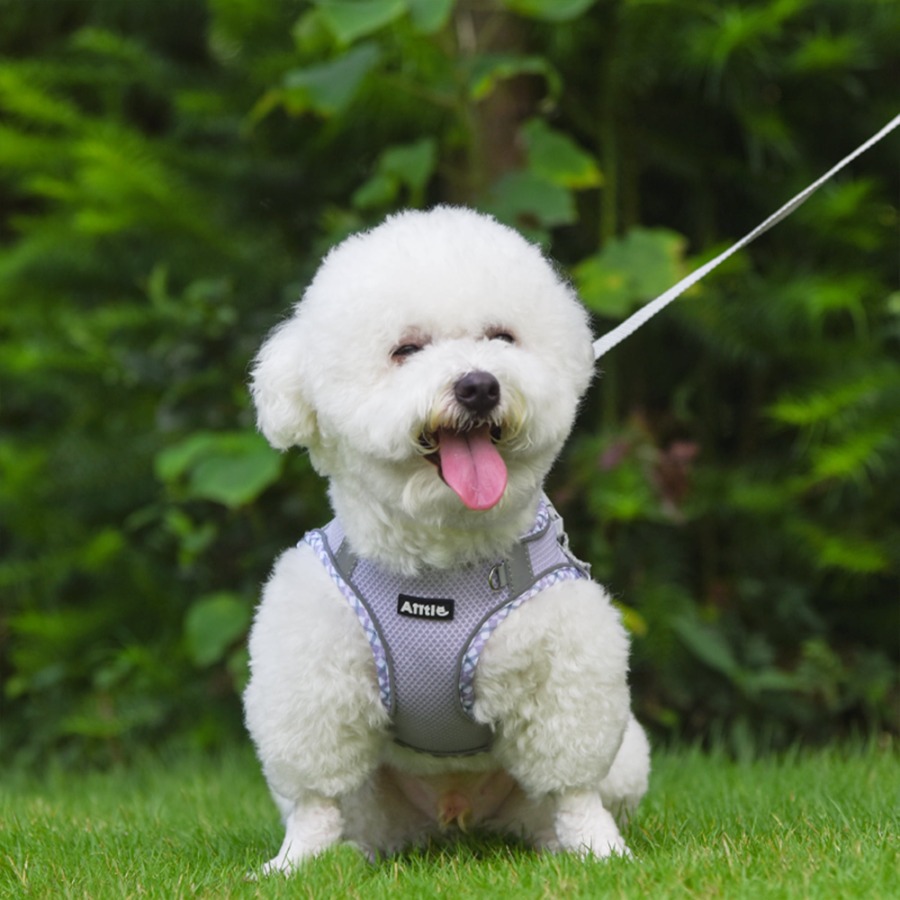 Adjustable Reflective Extra Sm - No Pull Dog Harness avaliação e preço