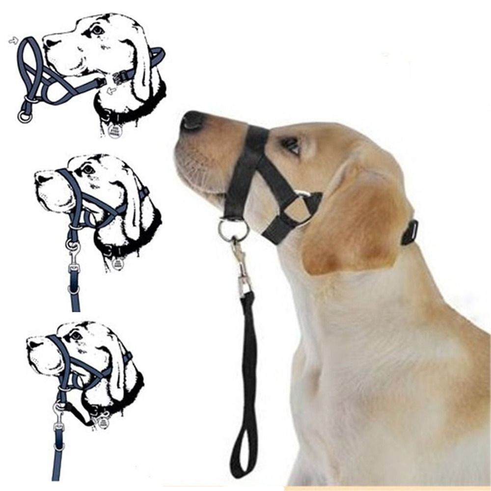 Adjustable Anti barking Non Pu - No Pull Dog Harness avaliação e preço