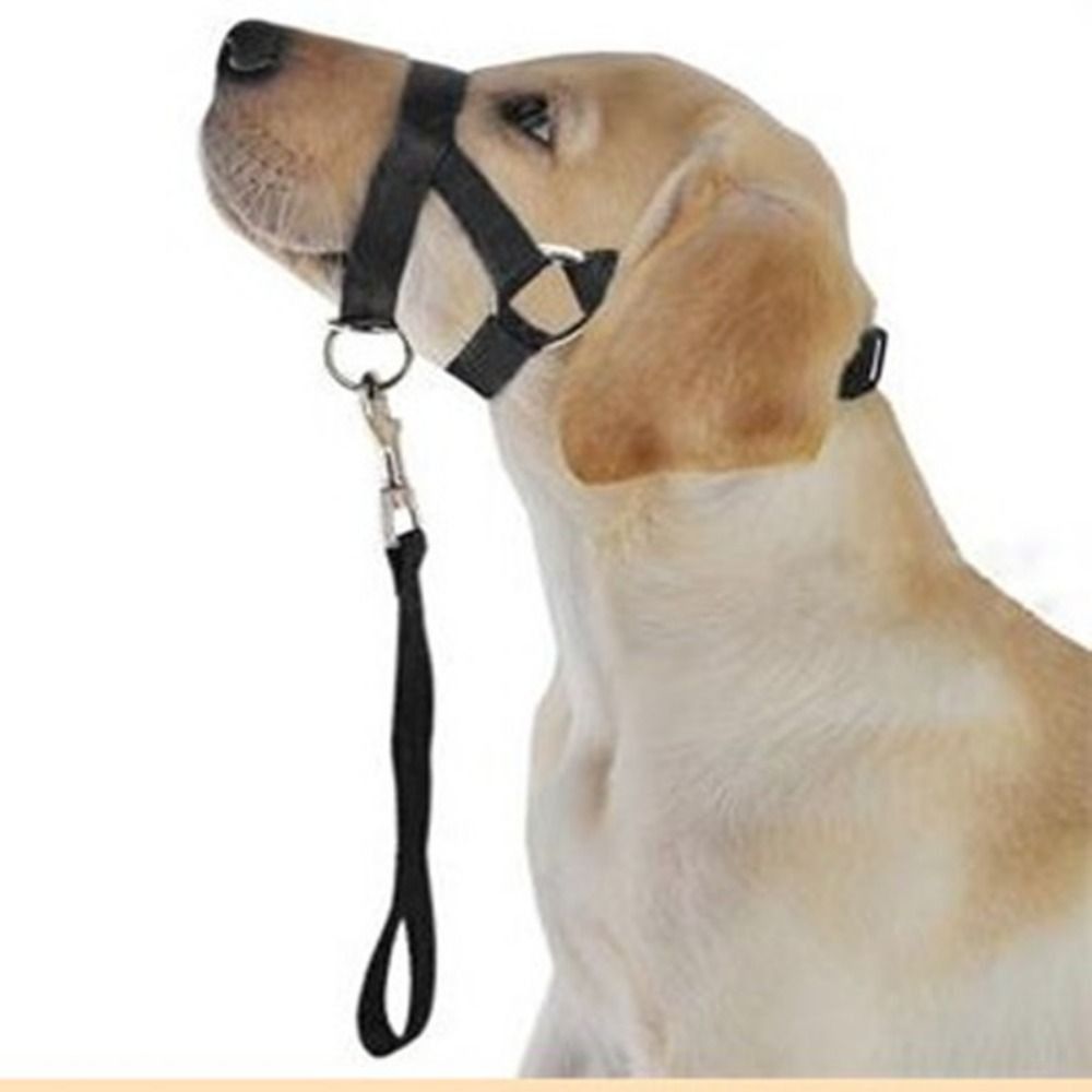 Adjustable Anti barking Non Pu - No Pull Dog Harness avaliação e preço