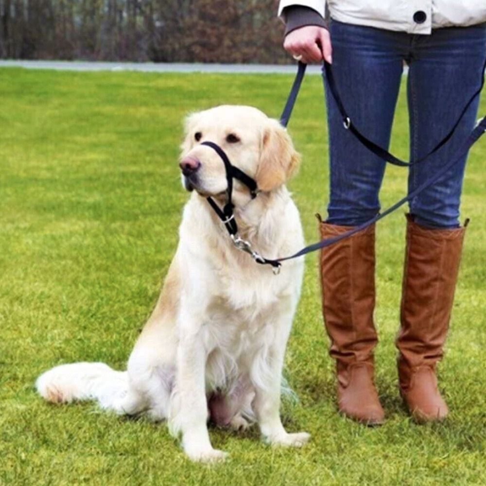 Adjustable Anti barking Non Pu - No Pull Dog Harness avaliação e preço