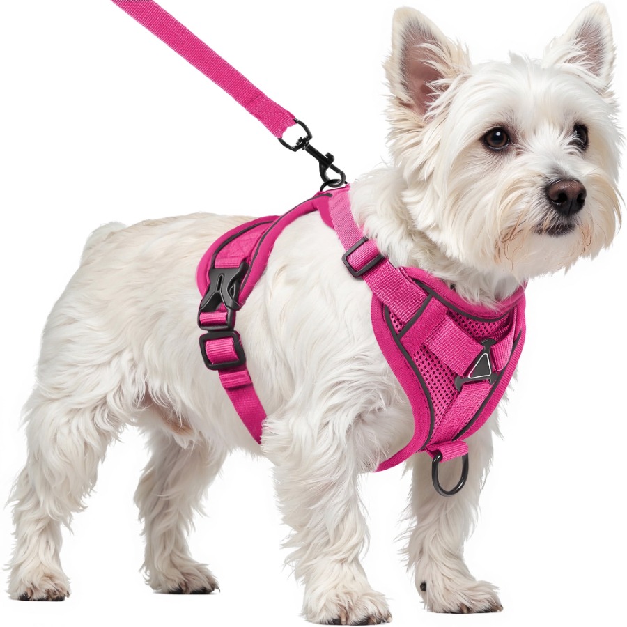 Dog Harness with Leash Cat Har - No Pull Dog Harness avaliação e preço
