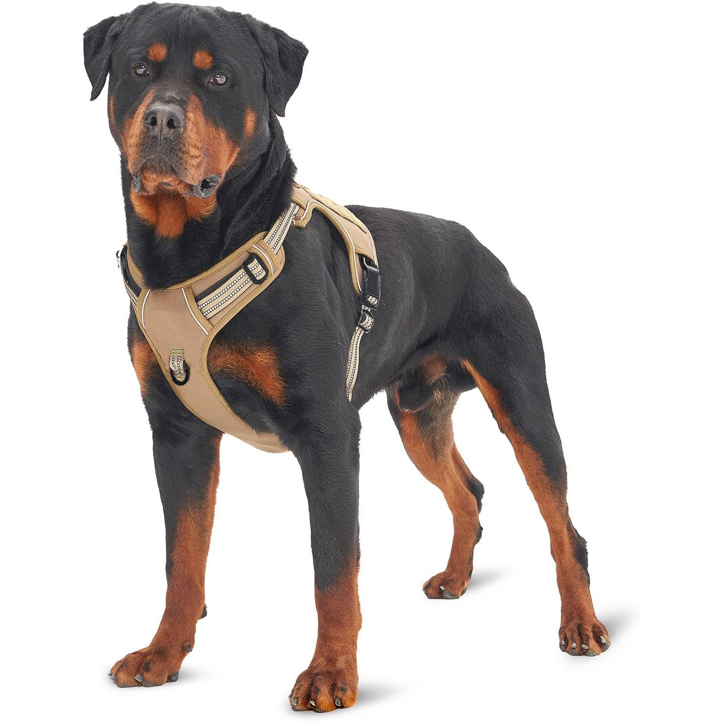 Military Tactical Dog Harness  - No Pull Dog Harness avaliação e preço