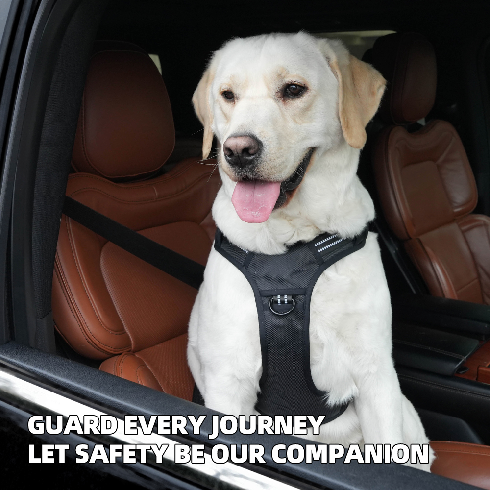 Car Safety Dog Harness for Med - No Pull Dog Harness avaliação e preço