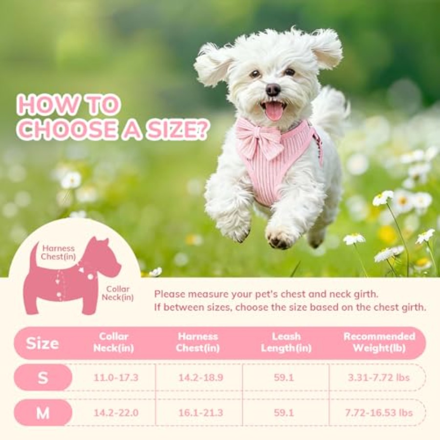 Small Dog Collar Harness and L - No Pull Dog Harness avaliação e preço