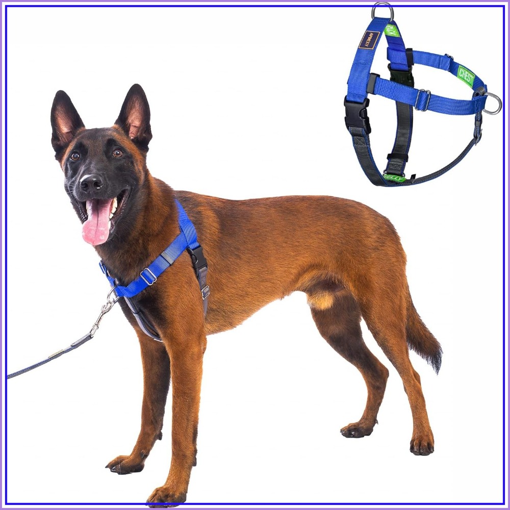 No Pull Dog Harness, Easy Walk - No Pull Dog Harness avaliação e preço