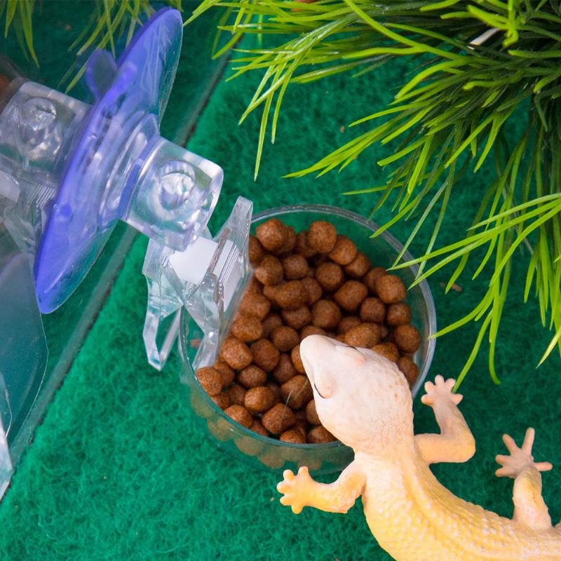 Reptile Water Food Bowl Suctio - Pet Supplies Is Food avaliação e preço