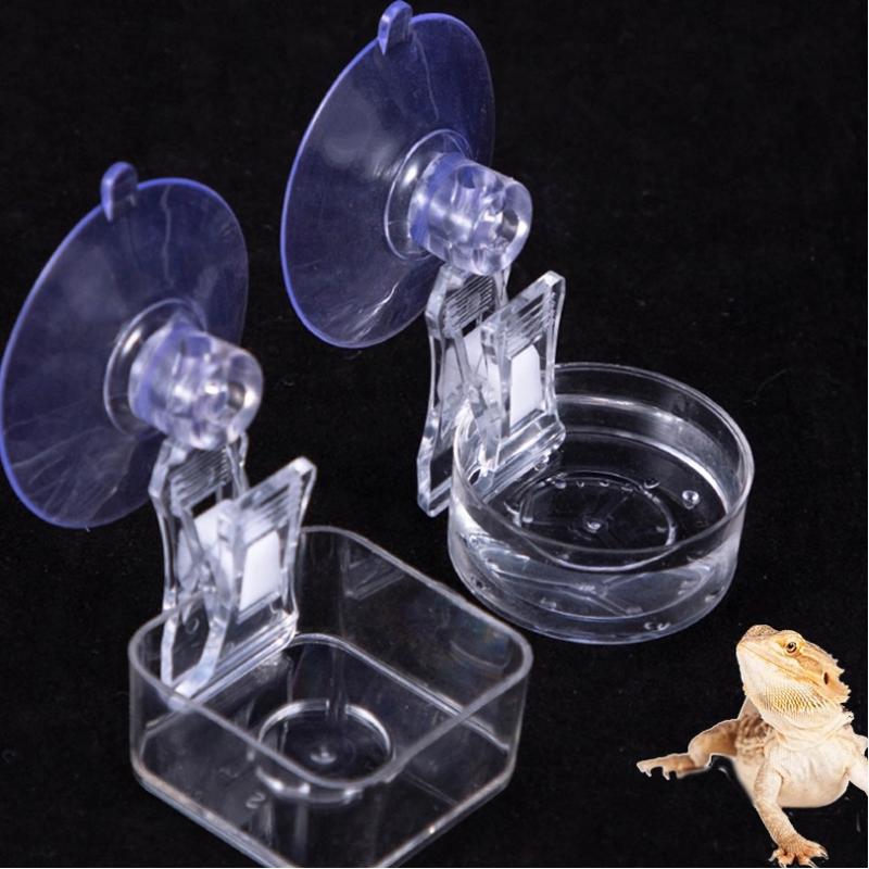 Reptile Water Food Bowl Suctio - Pet Supplies Is Food avaliação e preço