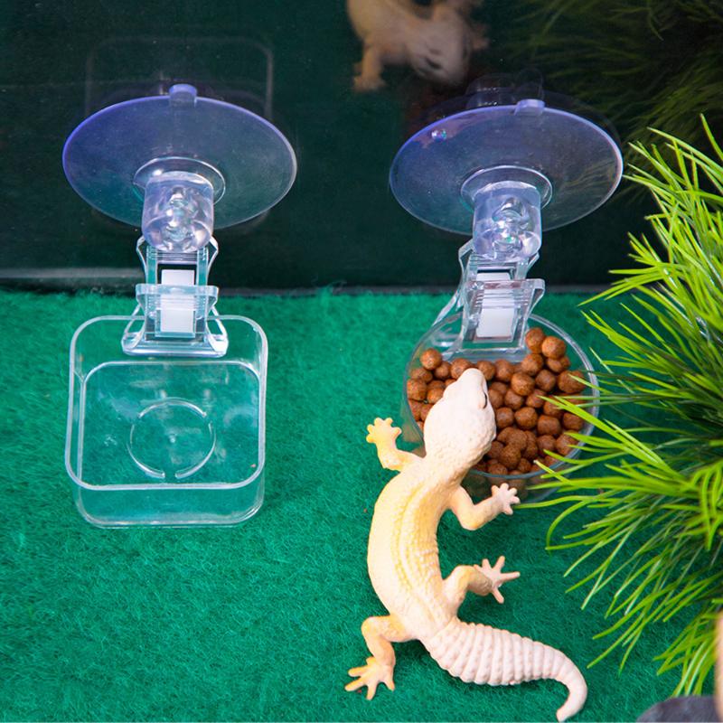 Reptile Water Food Bowl Suctio - Pet Supplies Is Food avaliação e preço