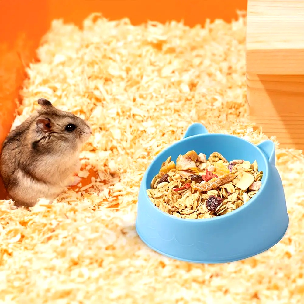 Hamster Feeding Bowl Hamster F - Pet Supplies Is Food avaliação e preço